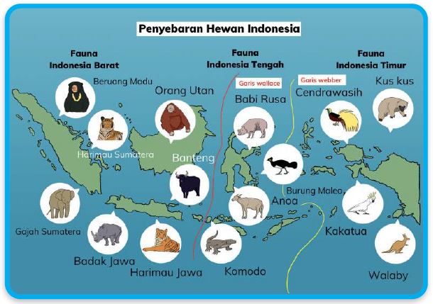 Soal IPAS Kls 5 SD Bab 6.2 : Indonesiaku Kaya Raya