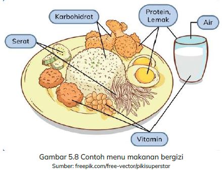 Soal IPAS Kls 5 SD Bab 5.2 : Bagaimana Kita Hidup dan Bertumbuh